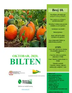 Bilten 10/2020