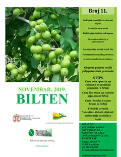Bilten 11/2019