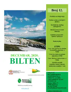 Bilten 12/2020