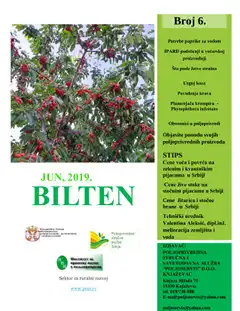 Bilten 6/2019