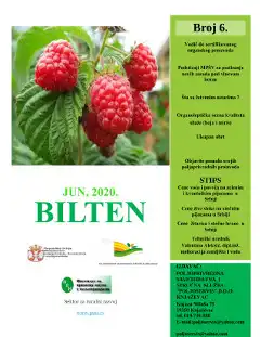 Bilten 6/2020